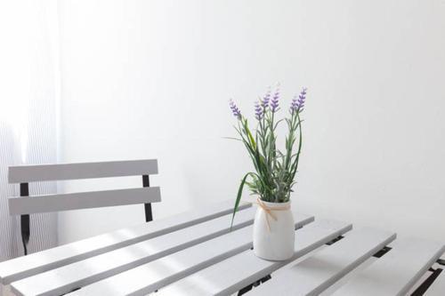 Domus Merulana Bed And Breakfast Roma Exterior foto